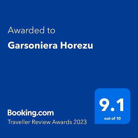 Garsoniera Horezu Apartment Екстериор снимка