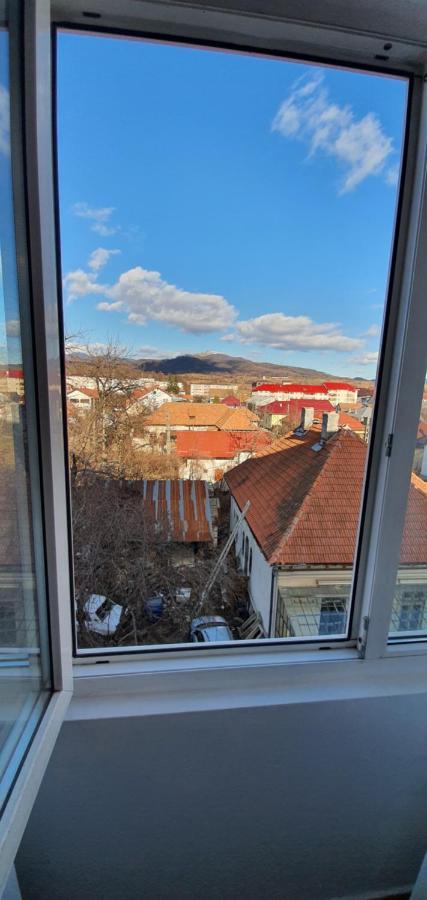 Garsoniera Horezu Apartment Екстериор снимка