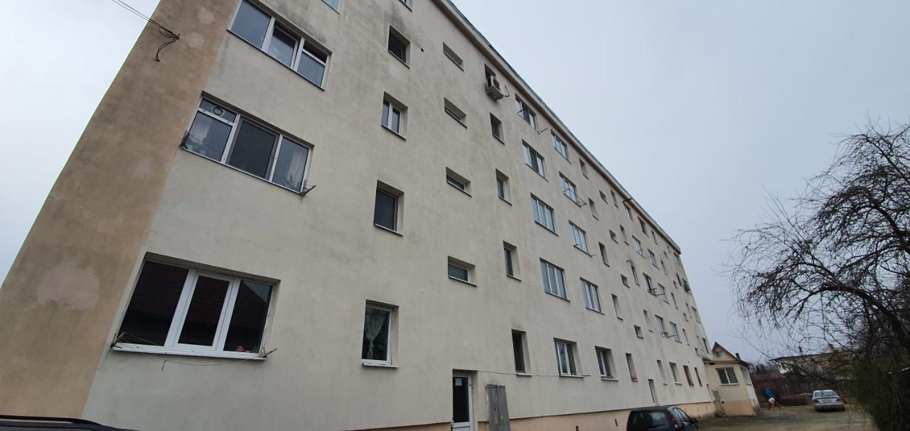 Garsoniera Horezu Apartment Екстериор снимка