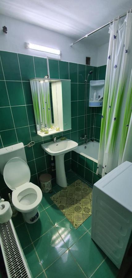 Garsoniera Horezu Apartment Екстериор снимка